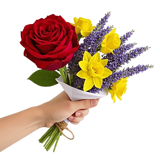 Crimson Rose Elegance