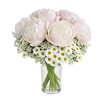 Petal Radiance Bliss