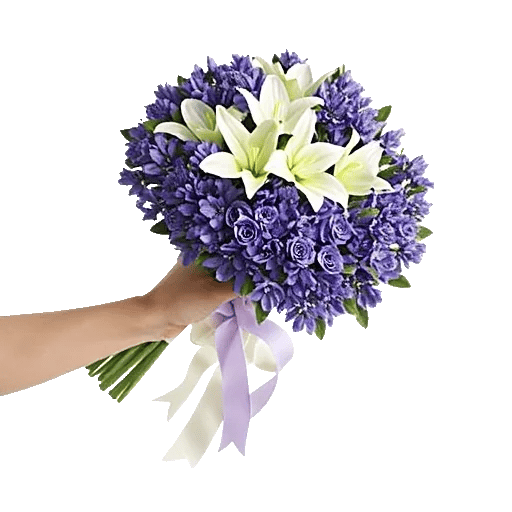 Serenity Blossom Grace