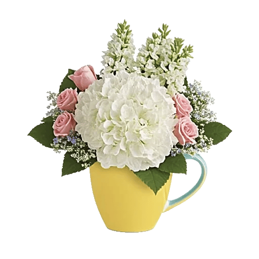 Serene Petal Harmony