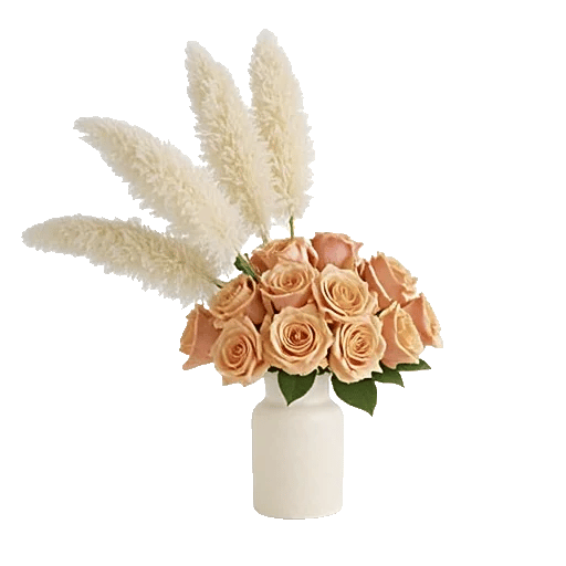 Plum Blossom Radiance