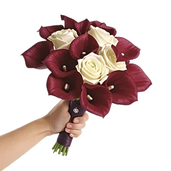 Elegant Calla Lilies