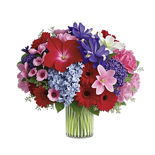 Crimson Blossom Harmony