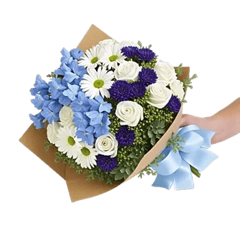 Blossom Petal Serenity