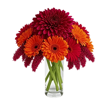 Crimson Blossom Harmony