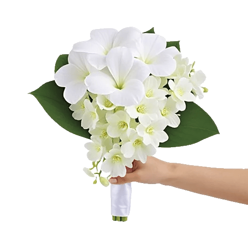 Modern White Orchids