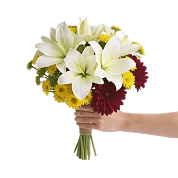 Blossom Harmony Display