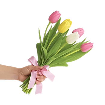 Velvet Tulip Display