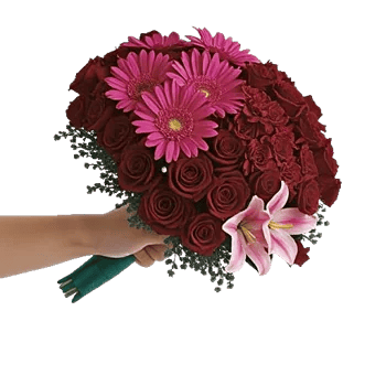 Blushing Rose Symphony