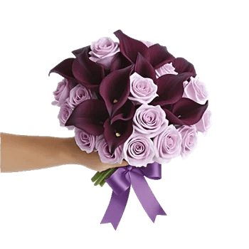 Elegant Calla Lilies