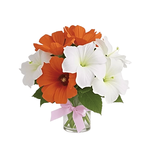 Blossom Glow Symphony