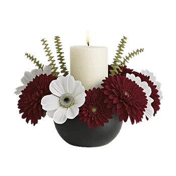 Ivory Blossom Radiance