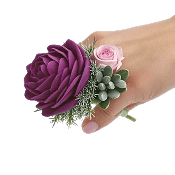 Plum Blossom Radiance