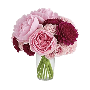 Petal Radiance Bliss