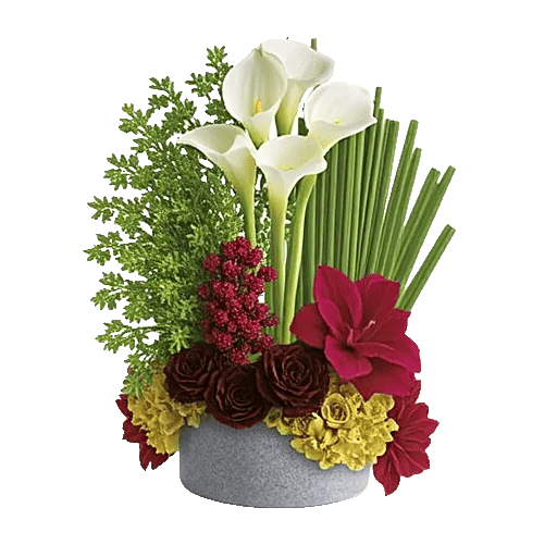 Elegant Calla Lilies