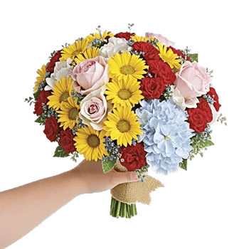 Petal Harmony Bliss
