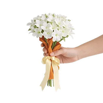 Rosemary Bloom Elegance