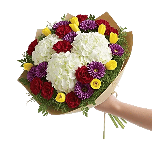 Serene Petal Harmony