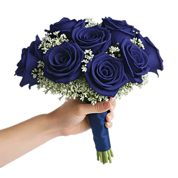 Elegant Blue Roses