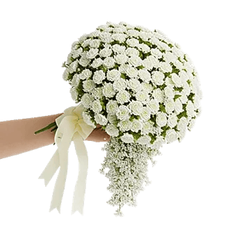 Delicate Petal Cascade