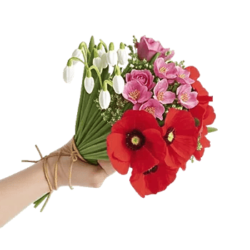 Blossom Harmony Display