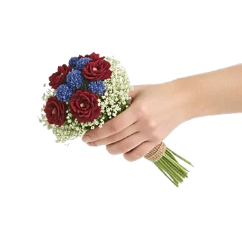 Blossom Petal Serenity