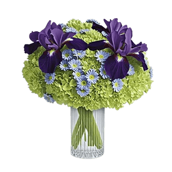 Ivory Blossom Radiance