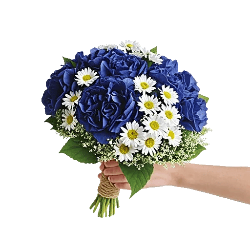 Serene Petal Harmony