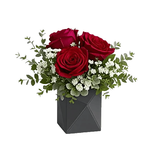 Crimson Rose Elegance