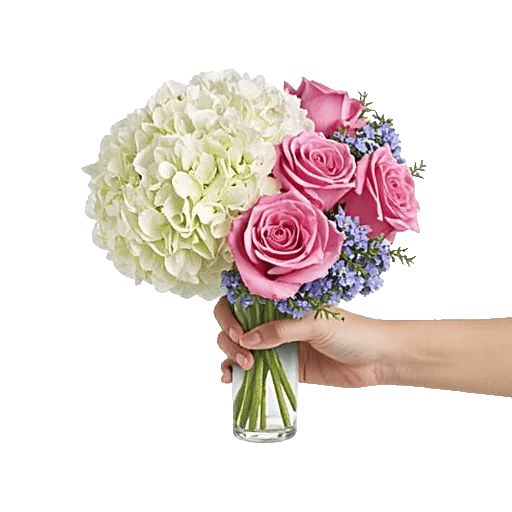 Ivory Blossom Radiance
