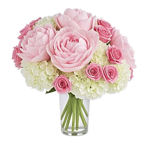Petal Radiance Bliss