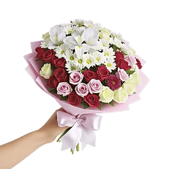 Ivory Blossom Radiance