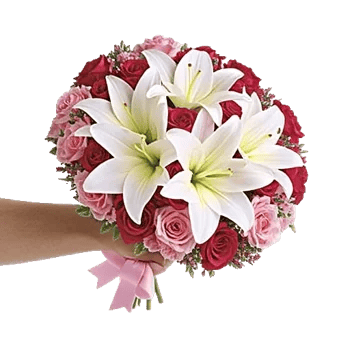 Blushing Rose Symphony