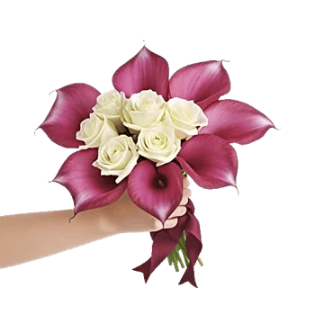 Elegant Calla Lilies