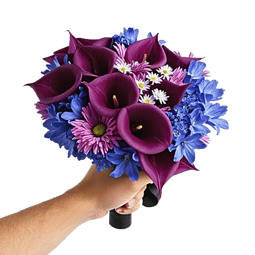 Elegant Calla Lilies