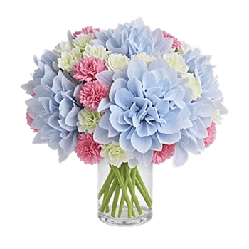 Serene Petal Harmony