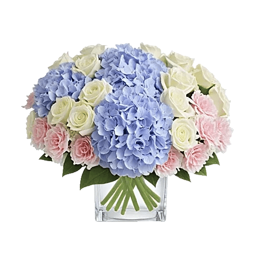 Serene Petal Harmony