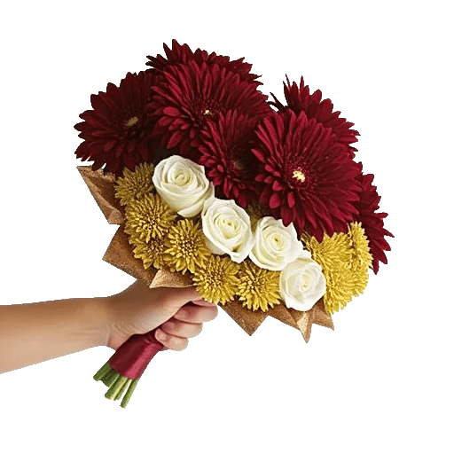 Regal Burgundy Display