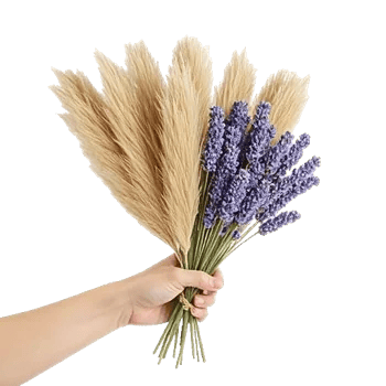 Lavender Bloom Grace