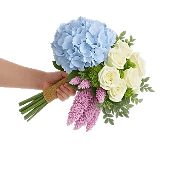 Delicate Petal Cascade