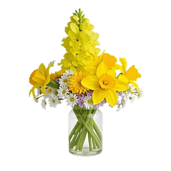 Radiant Bloom Cascade