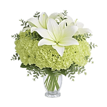Ivory Blossom Radiance