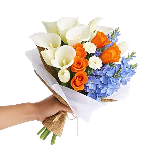 Elegant Calla Lilies