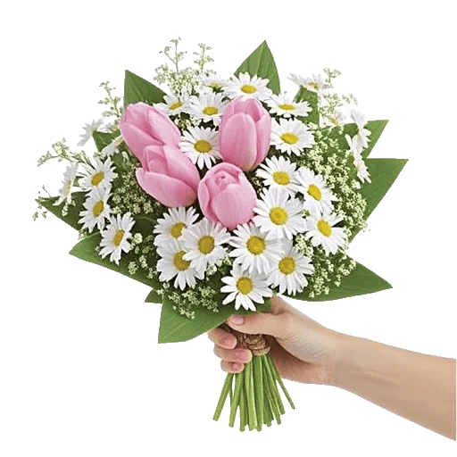 Blossom Harmony Display