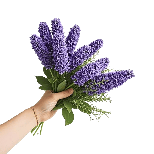 Lavender Bloom Grace