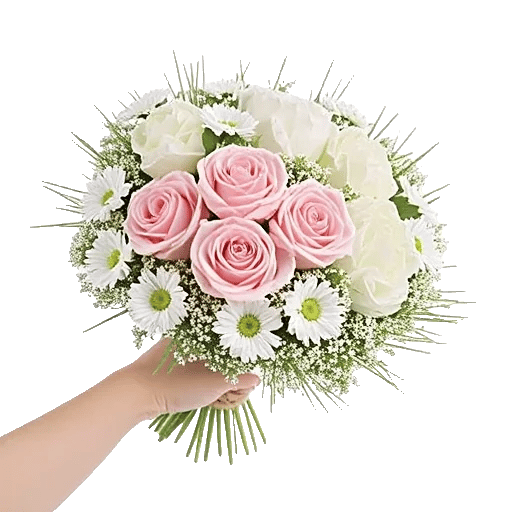 Pastel Pink Roses