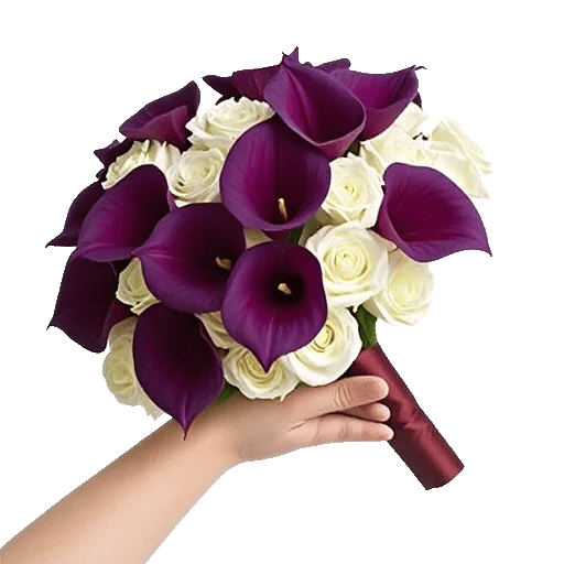 Elegant Calla Lilies