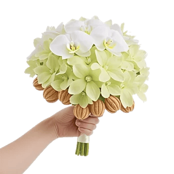 Modern White Orchids