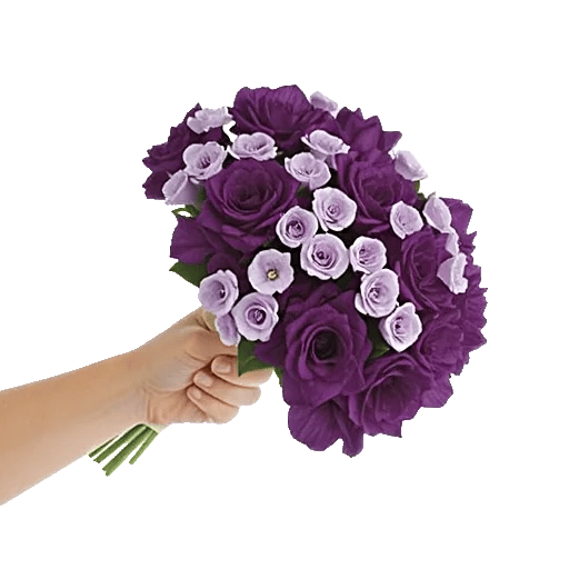 Petal Softness Display