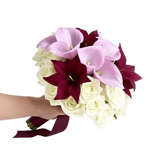 Elegant Calla Lilies